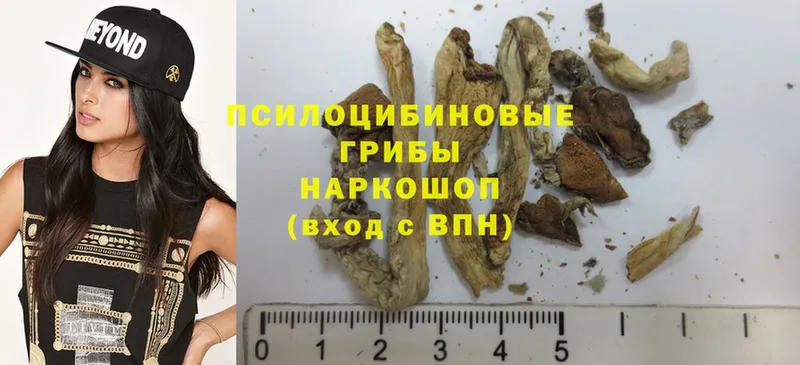 Псилоцибиновые грибы Psilocybe  гидра онион  Калязин 